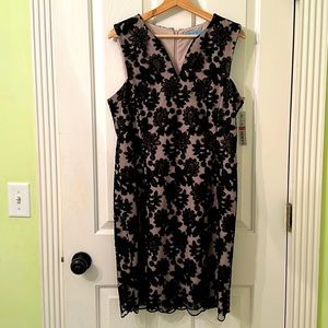 NWT Antonio Melani Jodie Black Dress Size 10